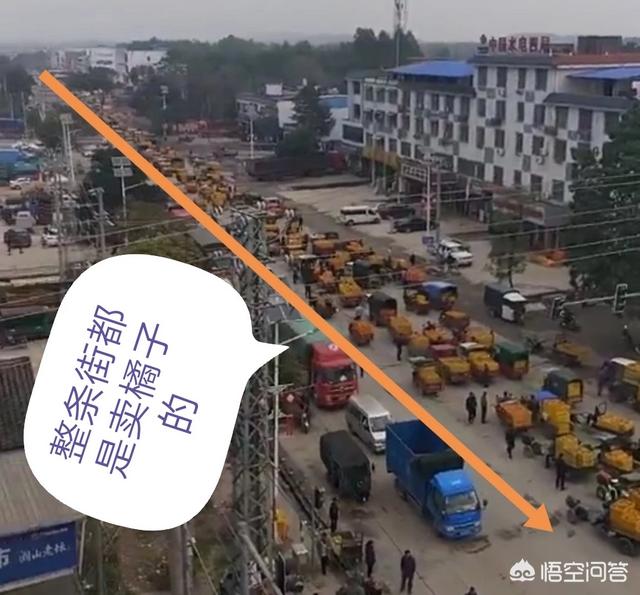 农村现在的桔子碰柑为什么会滞销呢？有什么好办法解决？