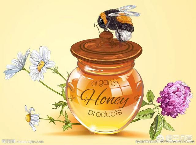 蜂蜜补肾功效和作用，蜂蜜的功效和作用是什么使用量如何把握