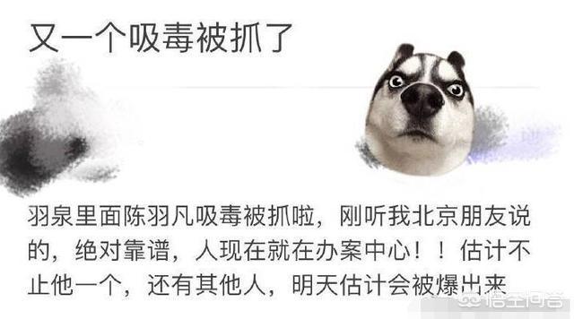 陈羽凡前女友:陈羽凡吸毒被抓会被判多少年呢还有以后吗