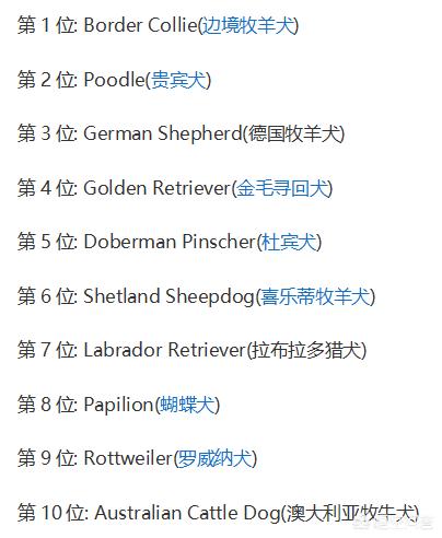国美狗狗聪明吗:狗有智商高低之分吗？为什么？