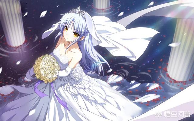 布偶女神猫muffie:日本35岁社员要和初音未来结婚，经过C社同意了吗？你怎么看？
