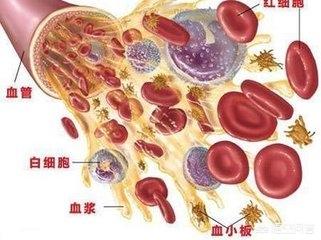 阿司匹林外用脚裂口子:脚丫子烂痒能用阿司匹林吗