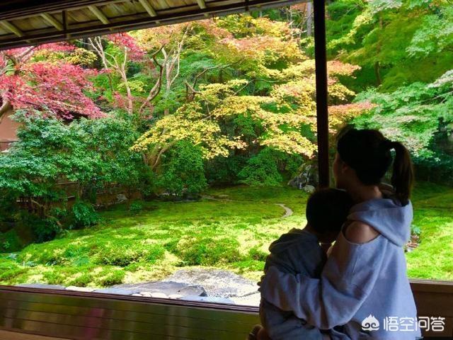 苏妙玲图片:当年的超女、快女现在都怎么样了？有哪些人回归家庭了？