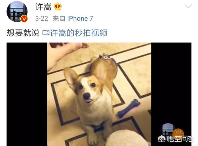 许嵩的女朋友徐佳颖:许嵩为什么只当个网络歌手