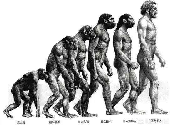 濒临灭绝的无毛猿:进化论最可悲的真相是什么呢？