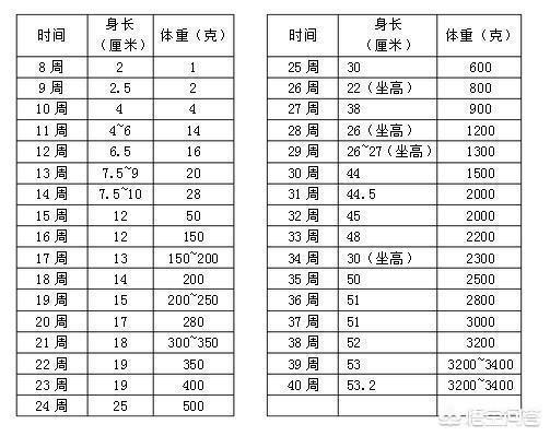 孕晚期是胎儿猛涨期吗？具体是哪几个周？插图42