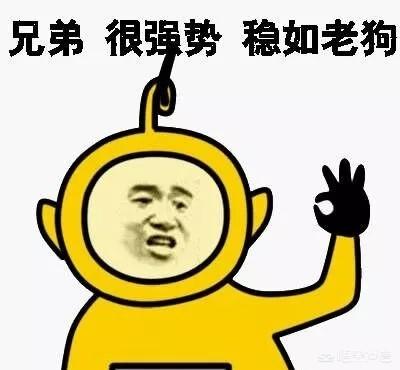 玛氏宠物招聘:开宠物店需要投入多少成本？