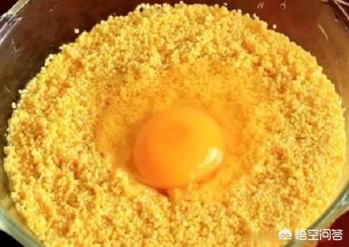 塑料鹦鹉:可以给鹦鹉买些什么玩具？