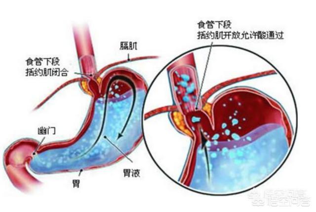 吃药后运动可以促进吸收吗;吃完药运动促进吸收吗