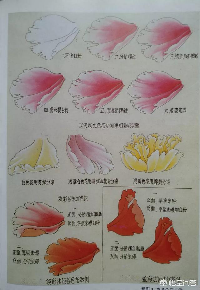 工笔花鸟:画国画花鸟用什么纸比较好？
