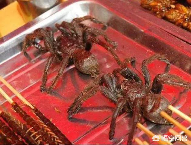 柬埔寨【烤蜘蛛】,炸虫子也就罢了,这毛茸茸的狼蛛你也烤着吃?