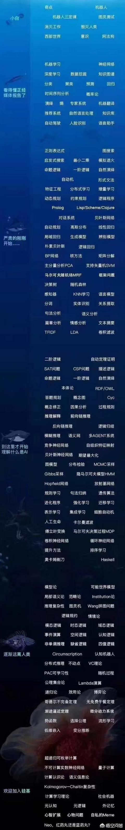 人工智能程序员入门应该学哪些算法？