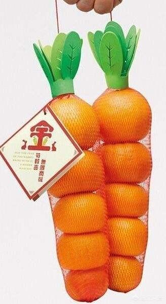 读了《买椟还珠》这篇课文,你有什么启发？