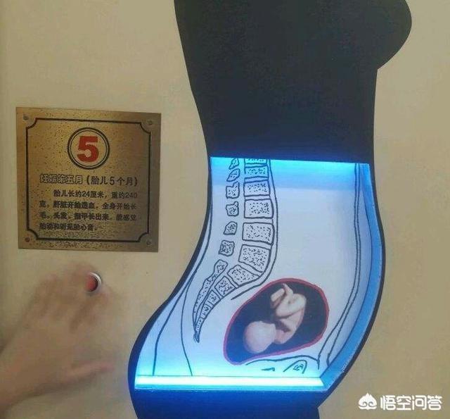 怀孕6个月，孕妇肚子突然一半硬一半软，是胎儿缺氧了吗？该怎么办？插图12