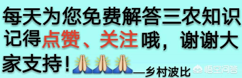 建筑工地的农民工真的能每天挣七八百元吗？