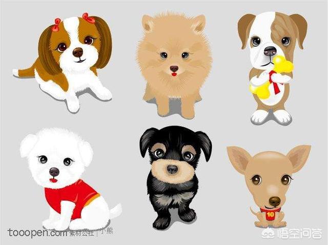在沙发上休息的波尔多犬图片:在家里为什么狗狗总是要主人抱着它？