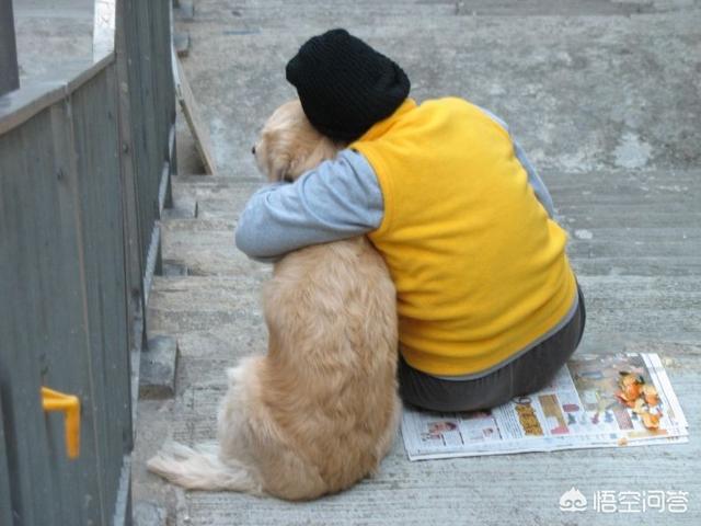 高芳和大狼狗:狗狗和人住在同一间房对人有没有影响？