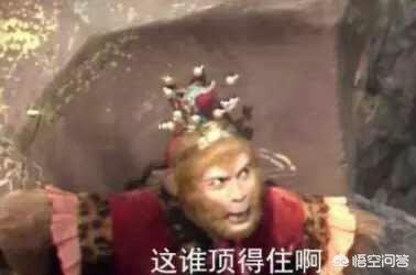 秀太郎:一月新番里有哪些骚操作呢