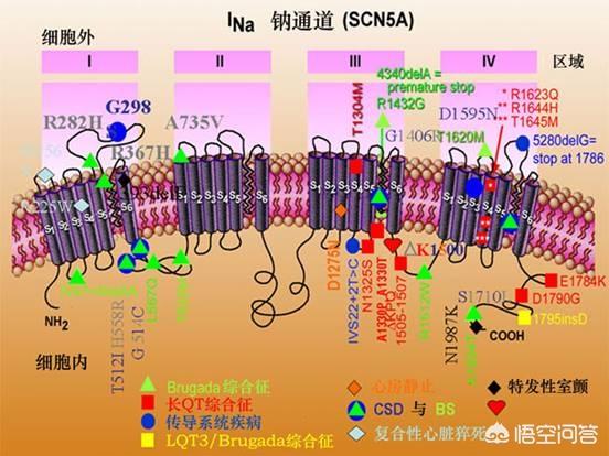 抢救运动:老戏骨程思寒因心梗早逝，做啥健身运动可以预防？