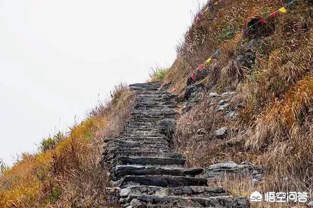 莽山烙铁头蛇图像:近期适合去宜章莽山景区吗？