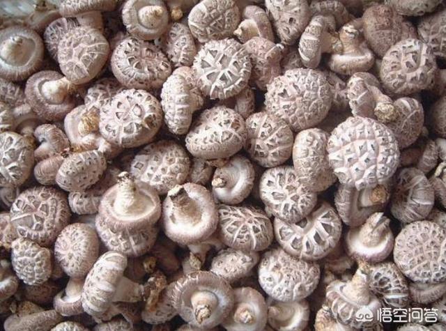 现在农民种植什么最赚钱、有奔头？