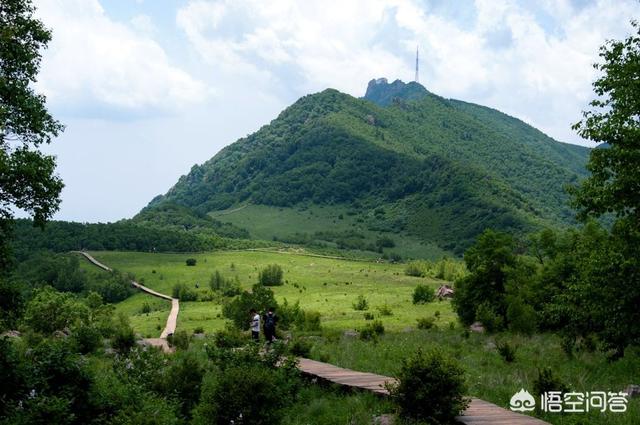 蓝脚鲣鸟一家原图:如果你去一个地方旅游，最想了解的是当地什么？