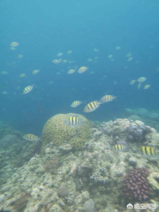 中国春节出国旅游好去处，过年期间去哪个国家旅游最好，带着父母和孩子