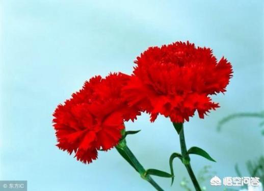 长春市牡丹园相亲群:长春什么最有名，让你听见了一下就会想到是长春？