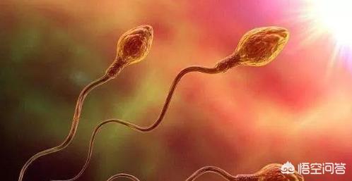 吃什么能增强性功能(吃什么能增强性功能最有效)