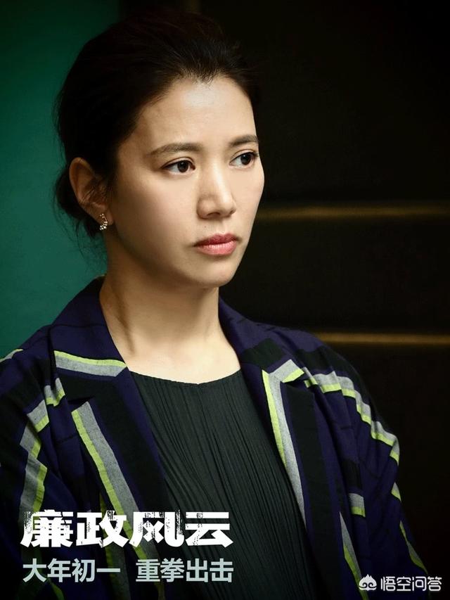 观鸟大年主演:电影《廉政风云》中有哪些容易忽视的细节？