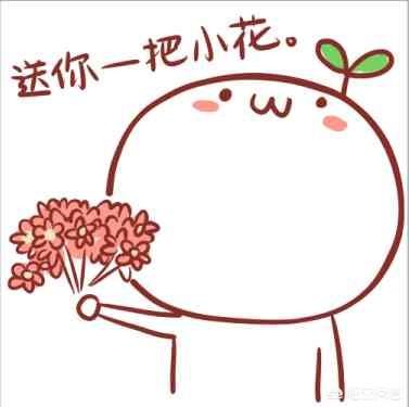有哪些简单实用的撩妹开场白