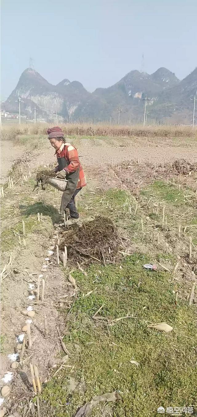 现在的农民最渴望什么样的生活,理想是什么？