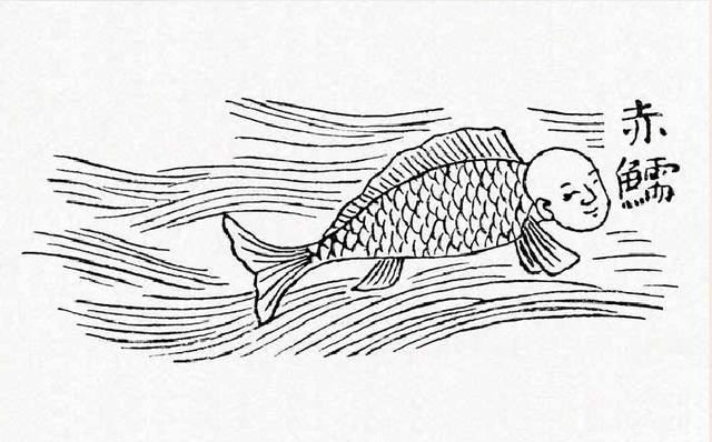 美人鱼化石:这个世界上真的有美人鱼的存在吗？
