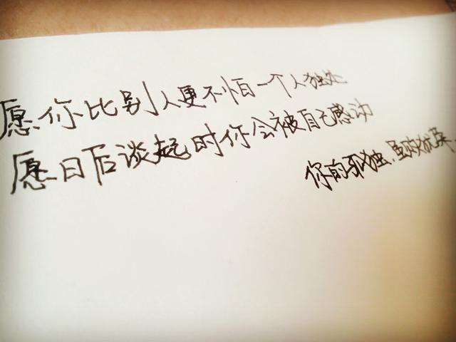 一只狗的大学生活精彩完整视频:饲养狗狗给我们带来什么好处？