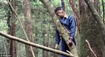日本人在地狱里受苦，听说日本有个叫“自杀森林”的地方，真的有很多人在那里自杀吗