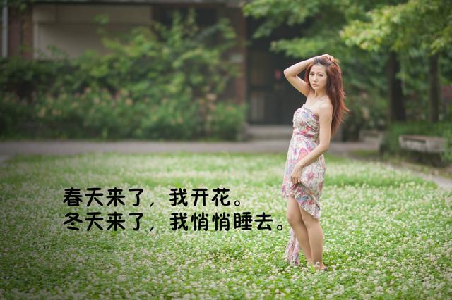 为什么现代诗总超越不了唐诗宋词？
