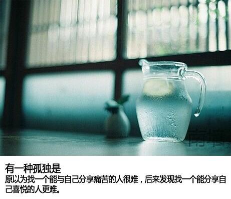 一只狗的大学生活精彩完整视频:饲养狗狗给我们带来什么好处？