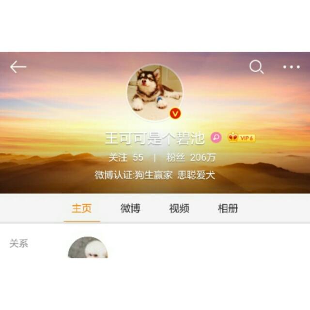 魔幻大陆明星宠物:明星们都养了哪些宠物狗狗呢？ 魔幻大陆宝宝去哪抓