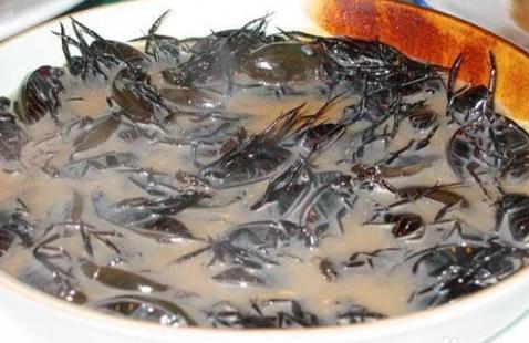 世界上最恶心的食物有哪些