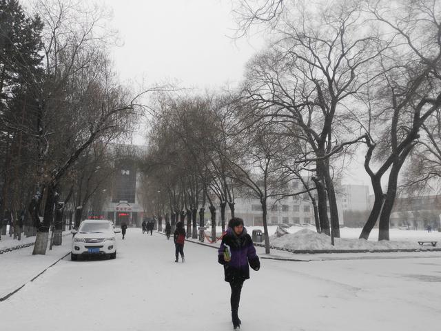 黑龙江高校女生嚣张查寝视频，冬天在哈尔滨上大学是一种怎样的体验