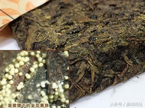 茶晶石的功效与作用,农村茶树上的茶桃有什么用，可以吃吗？