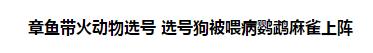 章鱼预测世界杯视频:泰迪成彩票“预测帝”，还有那些动物曾经担此重任？