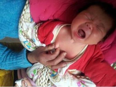 少女挤奶喂狗视频大全:新生儿必须挤乳头的说法科学吗？