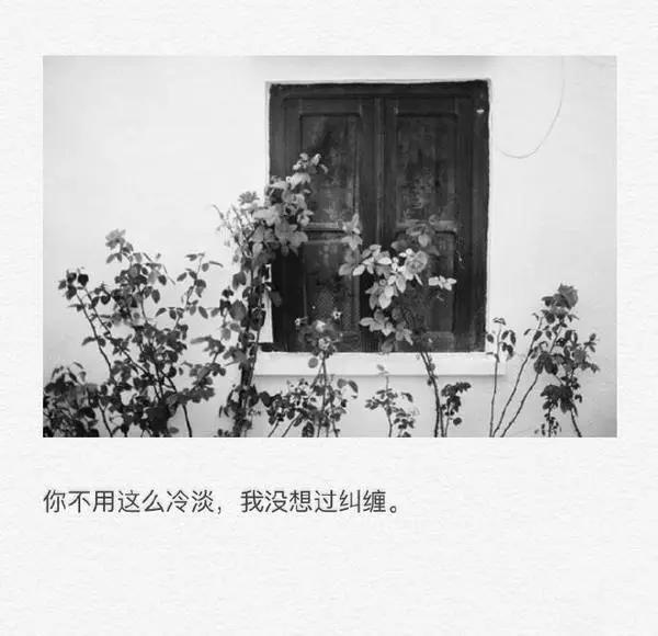 有哪些你第一眼看到就鼻酸的句子？