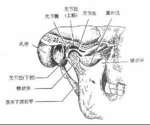 咬合关节炎能治好吗:颞颌关节错位综合症严重吗？