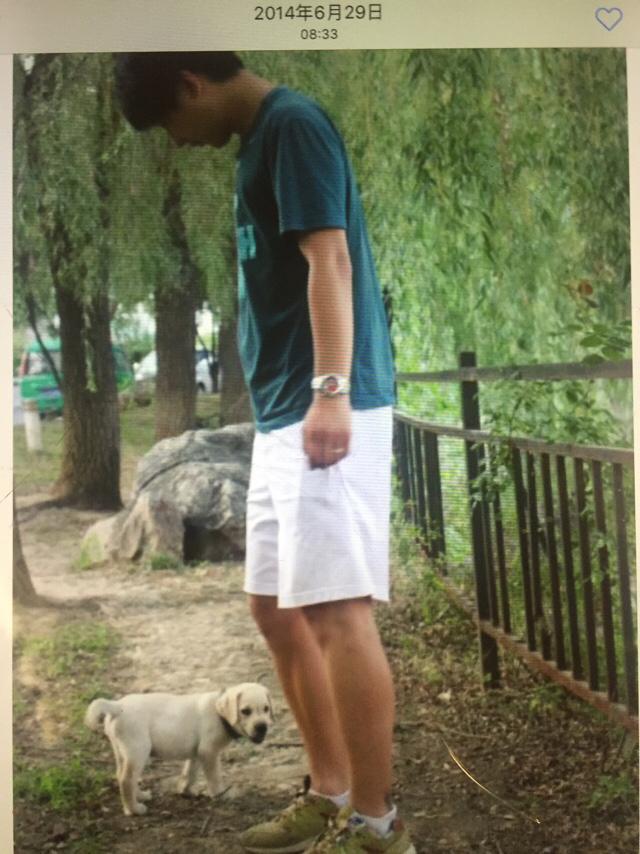 喜乐比奶糕怎么样:拉布拉多犬的价格一般是多少？ 江小傲奶糕怎么样