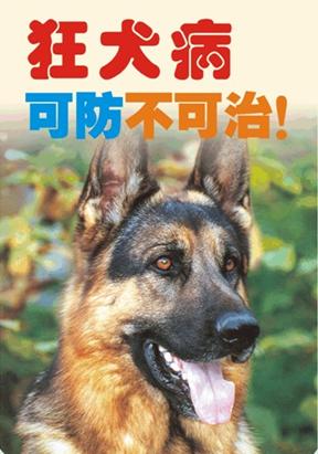 狗狂犬病潜伏期最长多久:狗狂犬病潜伏期最长多久发作 狂犬病毒潜伏期真的会有几十年吗？
