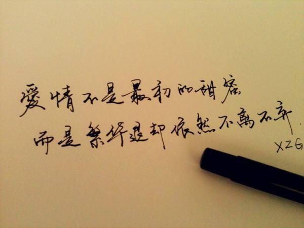 辅猫吧花絮感情转变:两个人没有感情了，该不该离婚？