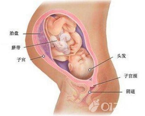 关之琳下体被塞保龄球:有哪些原来以为是段子结果发现是事实的事情？
