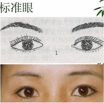 怎样区别眼型？
